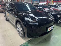 Tesla Model Y Rear-Wheel Drive - ფოტო 3