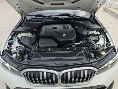 BMW 3 Series 320Li M Sport Package - ფოტო 10