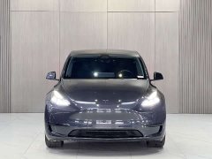Tesla Model Y 2024 Rear-Wheel Drive - ფოტო 2