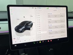 Tesla Model Y 2024 Rear-Wheel Drive - ფოტო 5