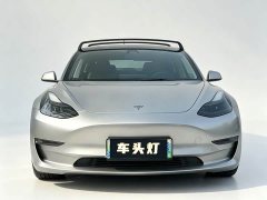 Tesla Model 3 Performance All-Wheel Drive - ფოტო 2