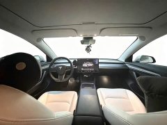 Tesla Model 3 Performance All-Wheel Drive - ფოტო 4