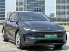 Tesla Model Y Long Range All-Wheel Drive Launch Edition - ფოტო 3