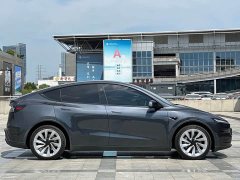 Tesla Model Y Long Range All-Wheel Drive Launch Edition - ფოტო 7
