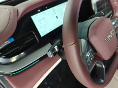 BYD Dolphin 07 DM-i 2026 DM-i 1.5T 230km Flagship - ფოტო 13