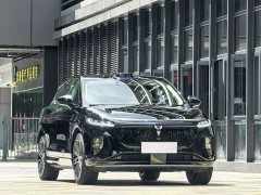 Voyah Lantu Zhiyin Four-Wheel Drive Qiankun Edition - ფოტო 3