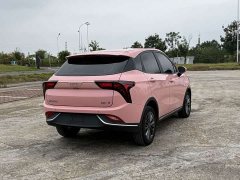 Neta V 2021 Long-Range Entertainment Edition - ფოტო 11