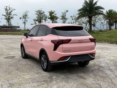 Neta V 2021 Long-Range Entertainment Edition - ფოტო 13