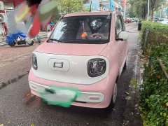 FAW Besturn Xiaoma 170km Vitality Edition - ფოტო 1
