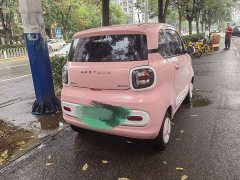 FAW Besturn Xiaoma 170km Vitality Edition - ფოტო 10