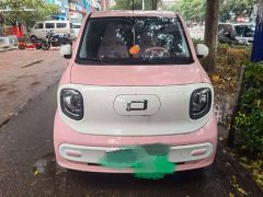 FAW Besturn Xiaoma 170km Vitality Edition - ფოტო 2