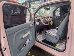 FAW Besturn Xiaoma 170km Vitality Edition - ფოტო 4