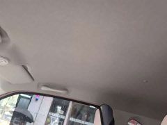 FAW Besturn Xiaoma 170km Vitality Edition - ფოტო 6