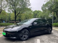 Tesla Model 3 Rear-Wheel Drive - ფოტო 1
