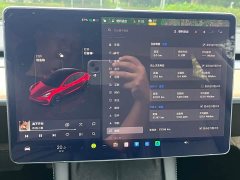 Tesla Model 3 Rear-Wheel Drive - ფოტო 15