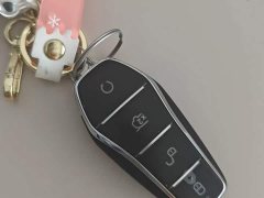 BYD Song Plus New Energy 2021 EV Premium - ფოტო 9
