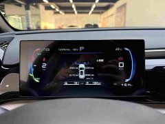 BYD Song Pro New Energy DM-i 71KM Glory Edition Pilot - ფოტო 12
