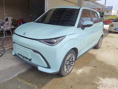 Chery Haima Domi 405km Comfort Edition - photo 1
