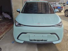 Chery Haima Domi 405km Comfort Edition - photo 2