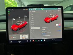 Tesla Model Y Rear-Wheel Drive - ფოტო 8