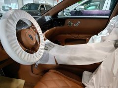 Buick Zun S800 2025 Extended Range Starlight Executive Edition 4-Seater (192-line LiDAR) - ფოტო 13