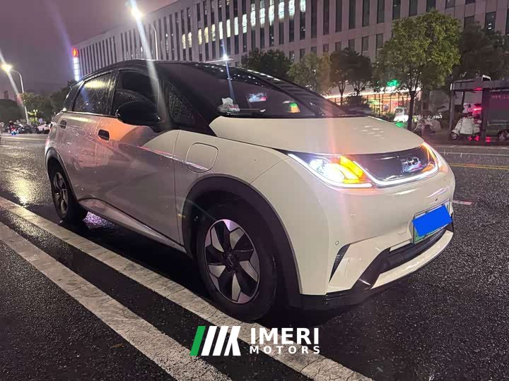 BYD Dolphin Glory Edition 420km Fashion Version - ავტომობილი ჩინეთიდან