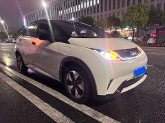 BYD Dolphin Glory Edition 420km Fashion Version - ფოტო 1