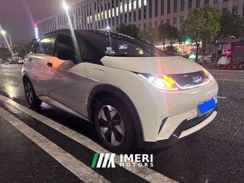 2024 BYD Dolphin Glory Edition 420km Fashion Version - ავტომობილი ჩინეთიდან
