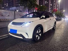 BYD Dolphin Glory Edition 420km Fashion Version - ფოტო 3