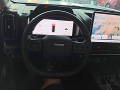 Haval Manlong Gasoline 2.0T 4WD Ultra - ფოტო 13