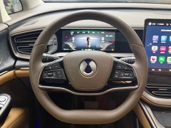Denza BYD Denza D9 2024 DM-i 1050 Premium - ფოტო 8