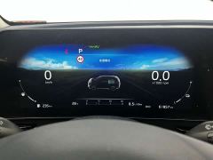 Kia Lion Platinum Tuojie Lion Prat Tuojie 2.0L HEV Two-Wheel Drive Premier Edition - photo 12