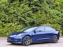 Tesla Model 3 Facelift Standard Range RWD Upgrade 3D1 - ფოტო 1