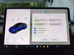 Tesla Model 3 Facelift Standard Range RWD Upgrade 3D1 - ფოტო 14