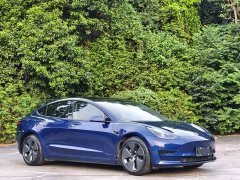 Tesla Model 3 Facelift Standard Range RWD Upgrade 3D1 - ფოტო 2
