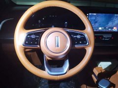 Great Wall WEY Blue Mountain Four-Wheel Drive Extended Range Version - ფოტო 15