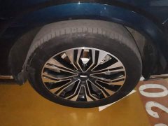 Great Wall WEY Blue Mountain Four-Wheel Drive Extended Range Version - ფოტო 6