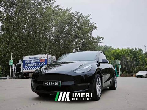 2021 Tesla Model Y Standard Range RWD - ავტომობილი ჩინეთიდან