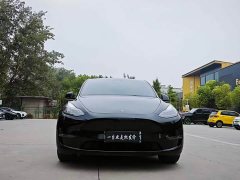 Tesla Model Y Standard Range RWD - ფოტო 2