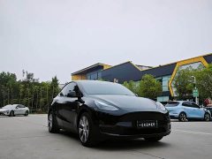 Tesla Model Y Standard Range RWD - ფოტო 3