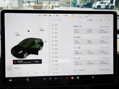 Tesla Model Y Standard Range RWD - ფოტო 8
