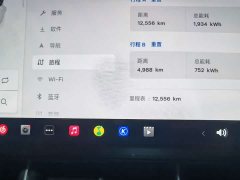Tesla Model Y L Long Range All-Wheel Drive - ფოტო 20