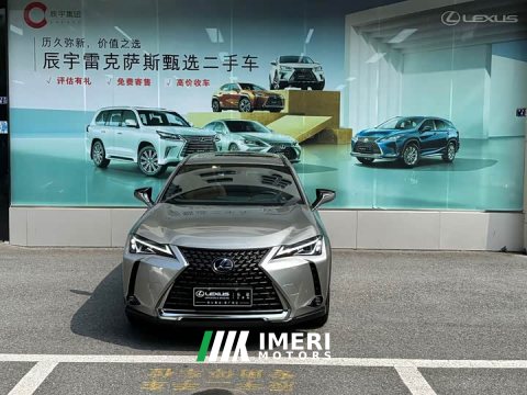 2021 Lexus UX 2020 260h Explorer Fun Edition - ავტომობილი ჩინეთიდან