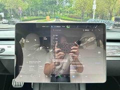 Tesla Model 3 Performance All-Wheel Drive - ფოტო 10