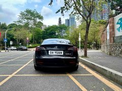 Tesla Model 3 Performance All-Wheel Drive - ფოტო 13