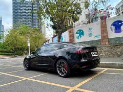 Tesla Model 3 Performance All-Wheel Drive - ფოტო 14
