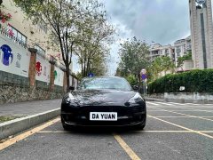 Tesla Model 3 Performance All-Wheel Drive - ფოტო 2