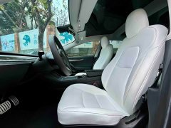 Tesla Model 3 Performance All-Wheel Drive - ფოტო 7