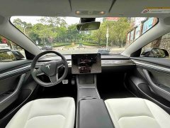 Tesla Model 3 Performance All-Wheel Drive - ფოტო 8