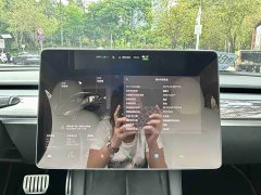 Tesla Model 3 Performance All-Wheel Drive - ფოტო 9